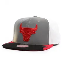 GORRA CHICAGO BULLS NBA DAY 5 - MITCHELL AND NESS GREY WHITE