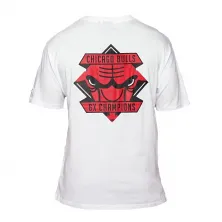 Camiseta NBA Championship Chicago Bulls Logo de New Era en Blanco
