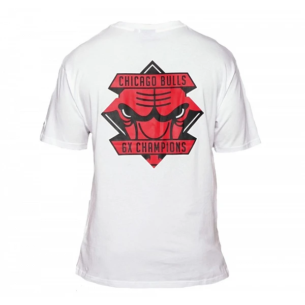 Camiseta NBA Championship Chicago Bulls Logo de New Era en Blanco