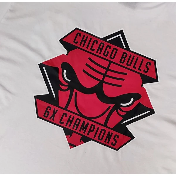 Camiseta NBA Championship Chicago Bulls Logo de New Era en Blanco