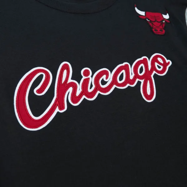 Camiseta Chicago Bulls NBA Colorblocked Cotton