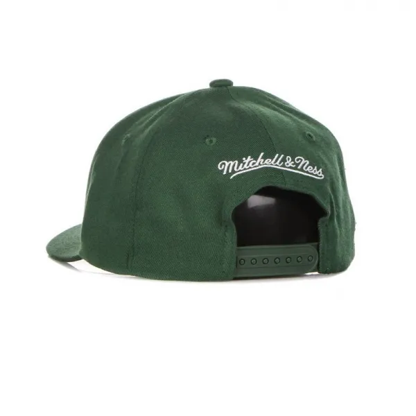 Gorra Milwaukee Bucks Team Ground HWC Curved - Mitchell and Ness
