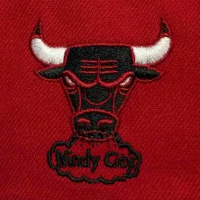 Gorra plana Chicago Bulls "Now you see me"