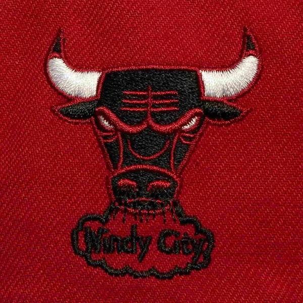 Gorra plana Chicago Bulls "Now you see me"