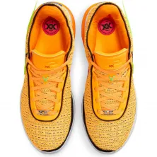 Zapatillas Nike Lebron XX "James Gang"