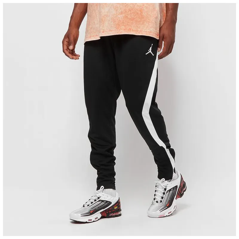 alpha dry pant jordan