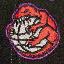 Gorra Curva Toronto Raptors Overbite Pro
