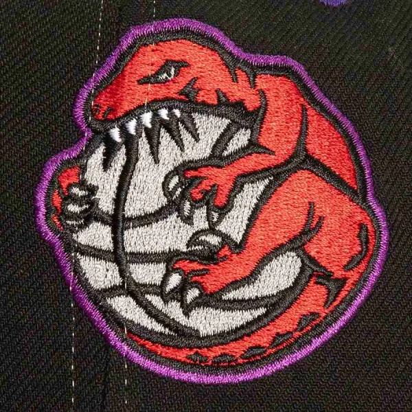Gorra Curva Toronto Raptors Overbite Pro