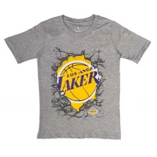 Camiseta manga corta Break Lakers para niño