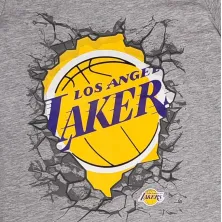 Camiseta manga corta Break Lakers para niño