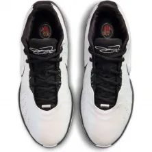 Zapatillas Nike Lebron 21 "Concholin"