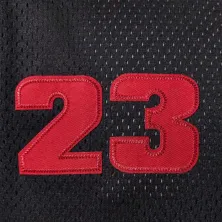 Camiseta Air Jordan Jersey 23 Elevated Junior negra