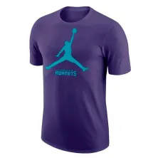 Camiseta Charlotte Hornets Jordan essential logo junior, frontal