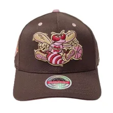 Gorra Charlotte Hornets NBA Brown Sugar frontal