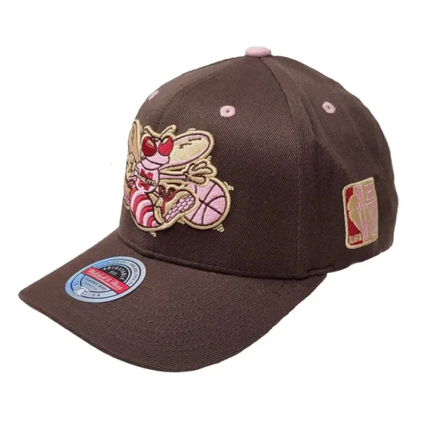Gorra Charlotte Hornets NBA Brown Sugar lateral