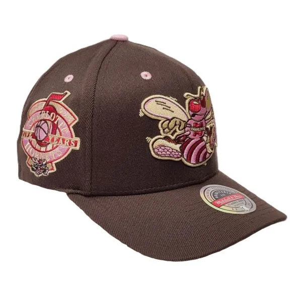 Gorra Charlotte Hornets NBA Brown Sugar principal