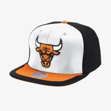 Gorra Chicago Bulls NBA Day One Shattered