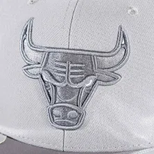 Gorra Chicago Bulls NBA Day 11 gris detalle