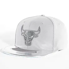 Gorra Chicago Bulls NBA Day 11 gris
