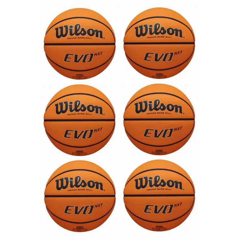 6 balones Wilson Evo NXT para Federaciones