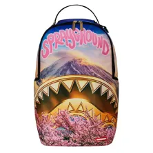 Mochila Sprayground Vivid Cherry DLX