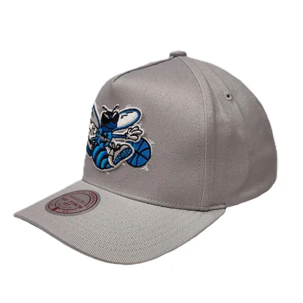 Gorra curva Charlotte Hornets Pro Crown Grey Mitchell and Ness lateral