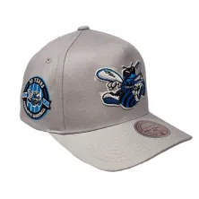 Gorra curva Charlotte Hornets Pro Crown Grey Mitchell and Ness