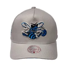 Gorra curva Charlotte Hornets Pro Crown Grey Mitchell and Ness frente