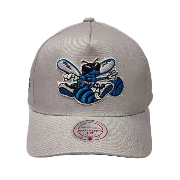 Gorra curva Charlotte Hornets Pro Crown Grey Mitchell and Ness frente