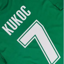 Camiseta manga corta Toni Kukoc Benetton Treviso Verde