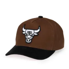 Gorra curva Chicago Bulls Pro Pinch Brown