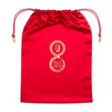 Kobe V Protro Year of the Mamba bolsa