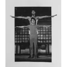 Adidas Originals Bruce Lee Icon tee detalle foto