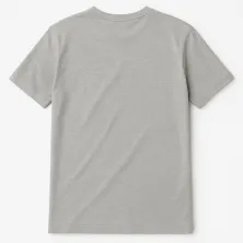 Camiseta Warriors New Era Team Logo gris 2