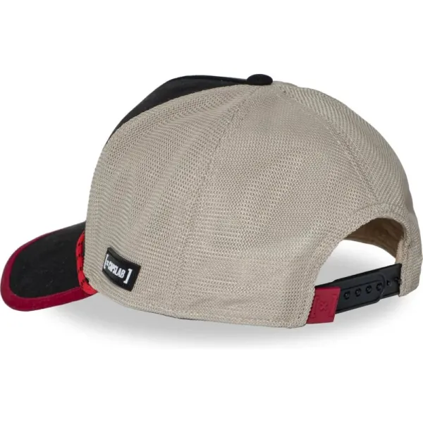 Gorra Capslab Harry Potter Gryffindor Negra y Beige