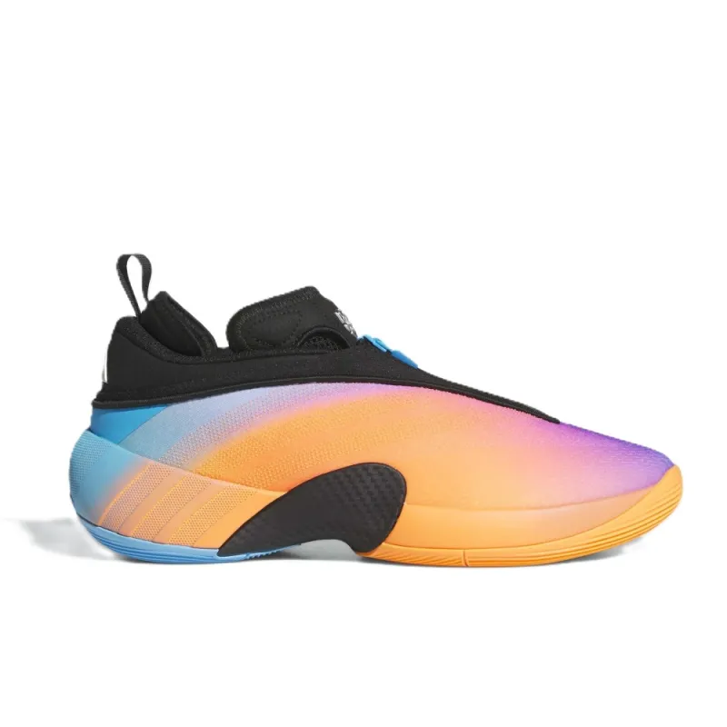 Zapatilla baloncesto Adidas Issue 7 All Star principal