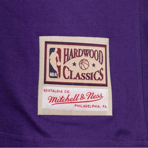 Camiseta Vince Carter Mitchell & Ness N&N Toronto Raptors Violeta