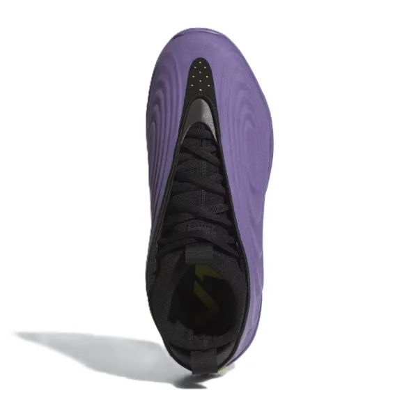 Adidas Harden Volume 10 Moradas superior 1