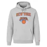 Sudadera New York Knicks Team Logo New Era Regular Hoody Gris