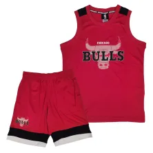Equipación de baloncesto infantil de los Bulls - principal