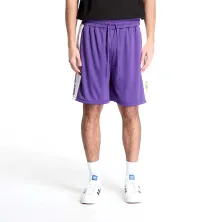 Pantalon corto LA Lakers New Era Mesh - modelo