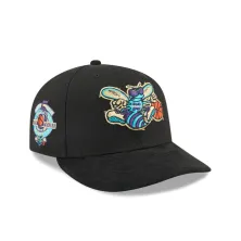 Gorra Charlotte Hornets 9Fifty Pre-Curved Suede New Era