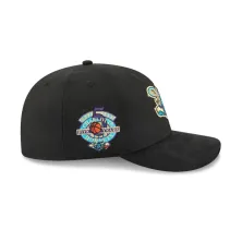 Gorra Charlotte Hornets 9Fifty Pre-Curved Suede New Era