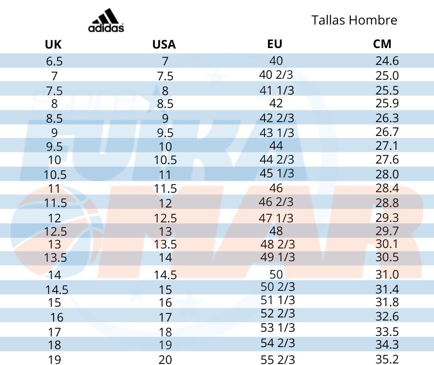 guia tallas zapatillas baloncesto adidas