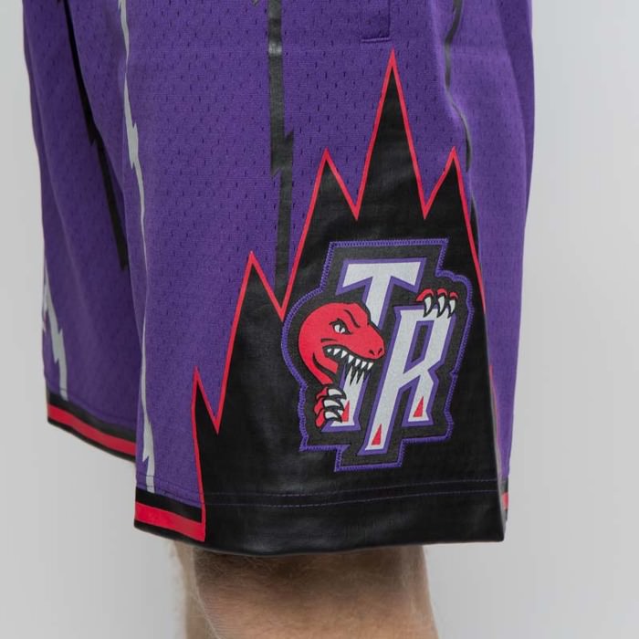 ZXZXING Pantalones Cortos de Hombre Pantalones de Baloncesto Pantalones de los Toronto Celtics de Toronto Raptors Pantalones Cortos Bordados con Chip Pantalones Cortos de Jersey Swingman